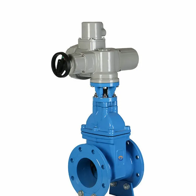 Magetsi Nyoro Seval Gedhi Valve
