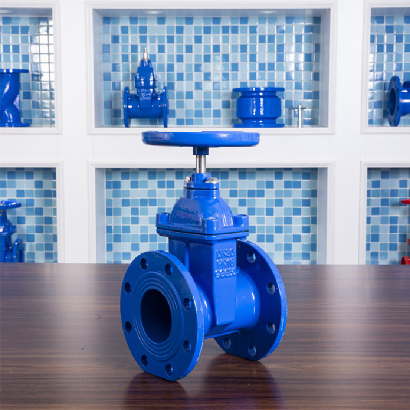 Verenga Zvimwe nezve Gate Valves Kutengesa